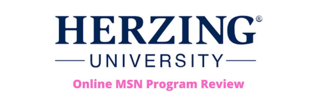 Herzing University Online MSN Program