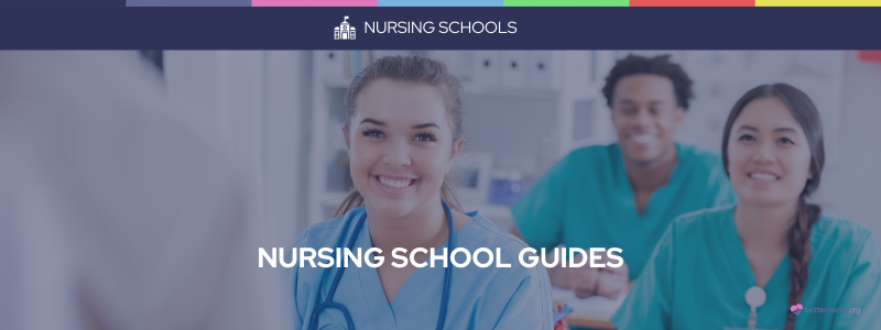 Nursing School Guides